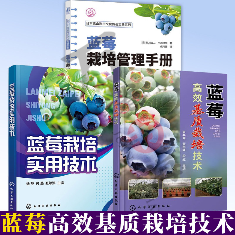 全3册 蓝莓高效基质栽培技术+蓝莓栽培实用技术+蓝莓栽培管理手册 蓝莓产业发展动态 新品种特性介绍 蓝莓栽培种植与管理要点