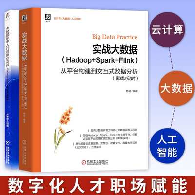 大数据书籍全两册 大数据技术入门到商业实战Hadoop+Spark+Flink全解析+实战大数据Hadoop+Spark+Flink从平台构建到交互式数据分析
