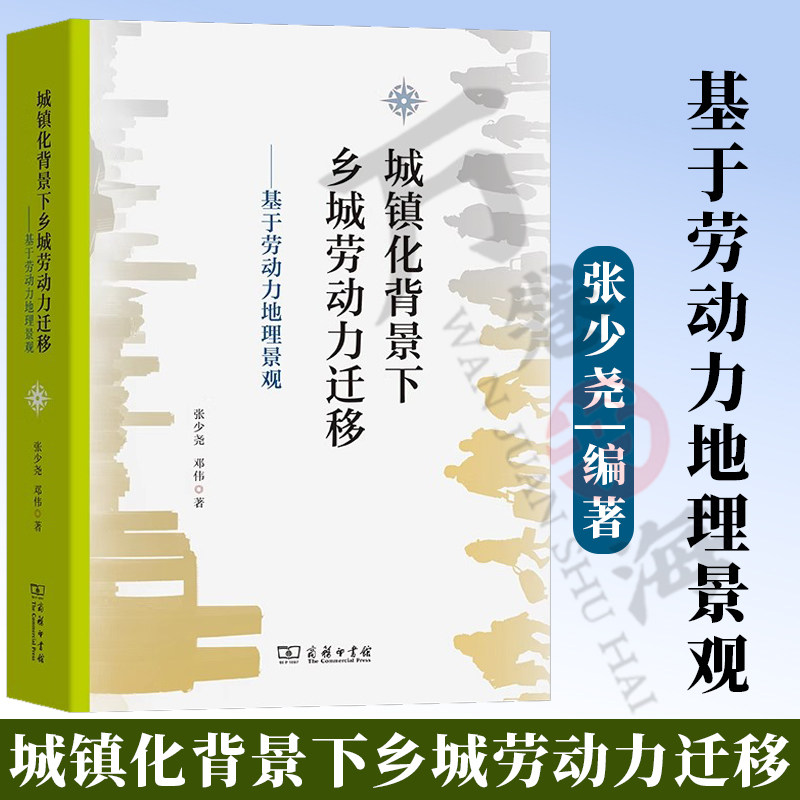 城镇化背景下乡城劳动力迁移——基于劳动力地理景观 人文地理学 人口学 乡村建设 乡村治理张少尧 邓伟 著 商务印书馆