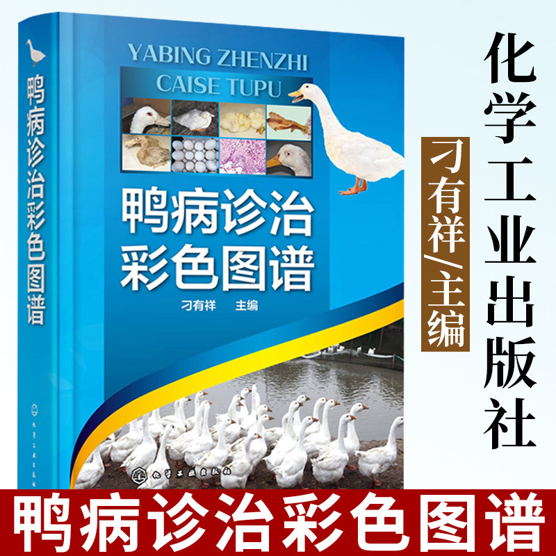 鸭病诊治彩色图谱 鸭病诊断防治及类似疾病鉴别实用指导书 鸭病治疗诊断书籍 鸭病预防书籍 兽医应用书籍 家禽常见病书籍 禽病预防