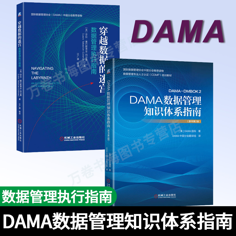 2册 DAMA数据管理知识体系指南 原书第二版2版+穿越数据的迷宫数据管理执行指南 DAMA国际数据管理专业人士认证CDMP培训教材