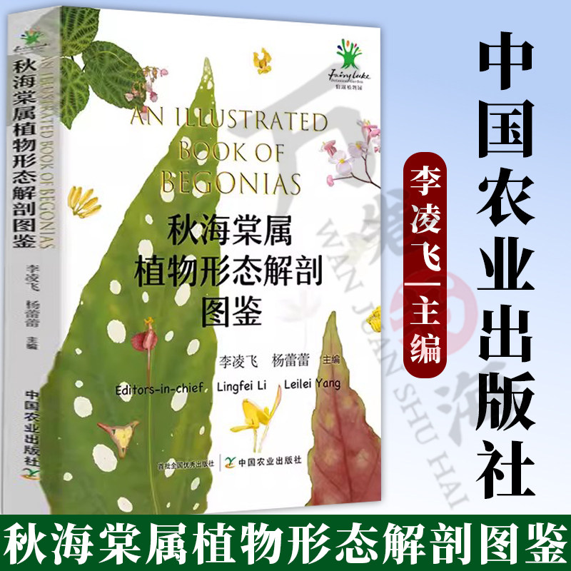 秋海棠属植物形态解剖图鉴 95种秋海棠属原生种类32个栽培品种植株整体形态茎叶花 秋海棠识别与鉴定彩色图谱 秋海棠书籍