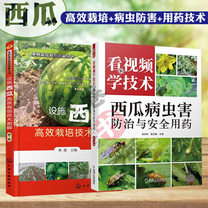 西瓜种植技术全两册 设施西瓜高效栽培技术图解 第二版+看视频学技术 西瓜病虫害防治与安全用药 西瓜种植技术西瓜种植书虫害防治