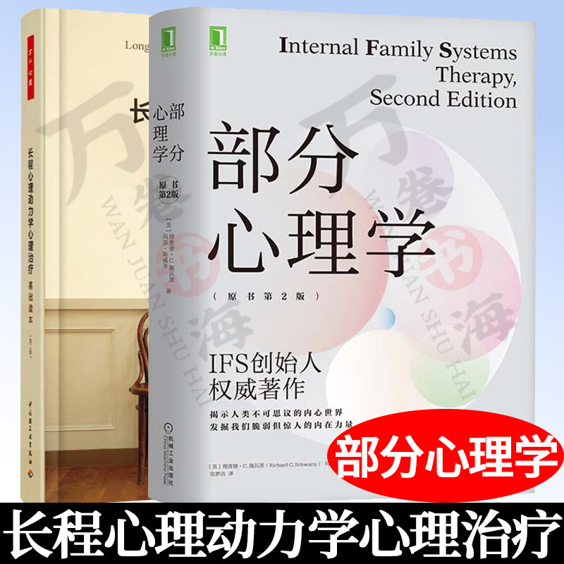 全2册】万千心理长程心理动力学心理治疗基础读本第二版+部分心理学原书第2版适合心理咨询师心理治疗师精神科医生阅读使用书籍