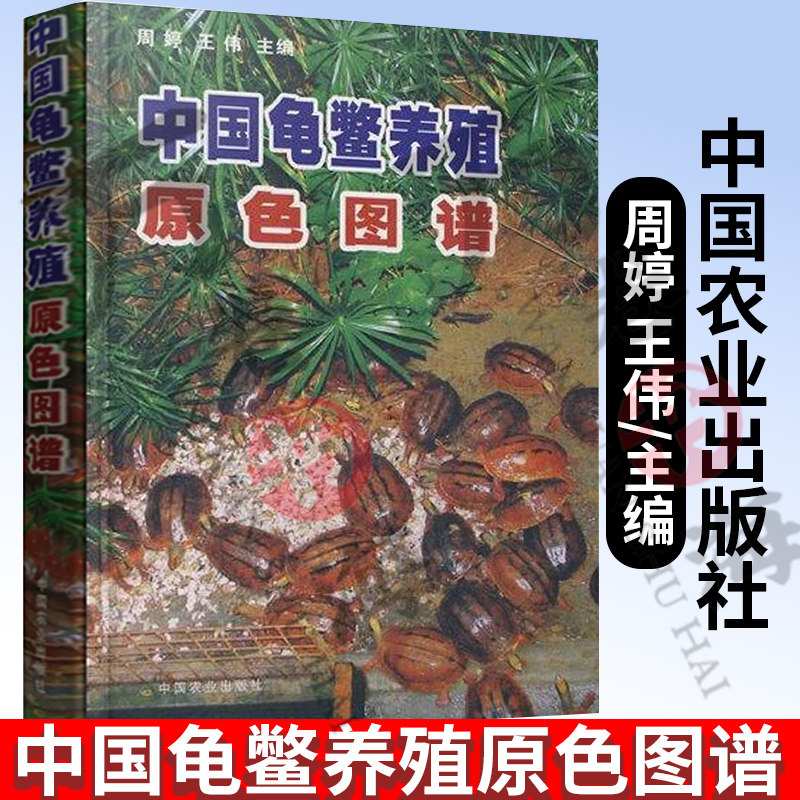 中国龟鳖养殖原色图谱 周婷 中国农业出版社 龟鳖动物生活习性养殖技术 乌龟甲鱼水产养殖书 养龟书籍