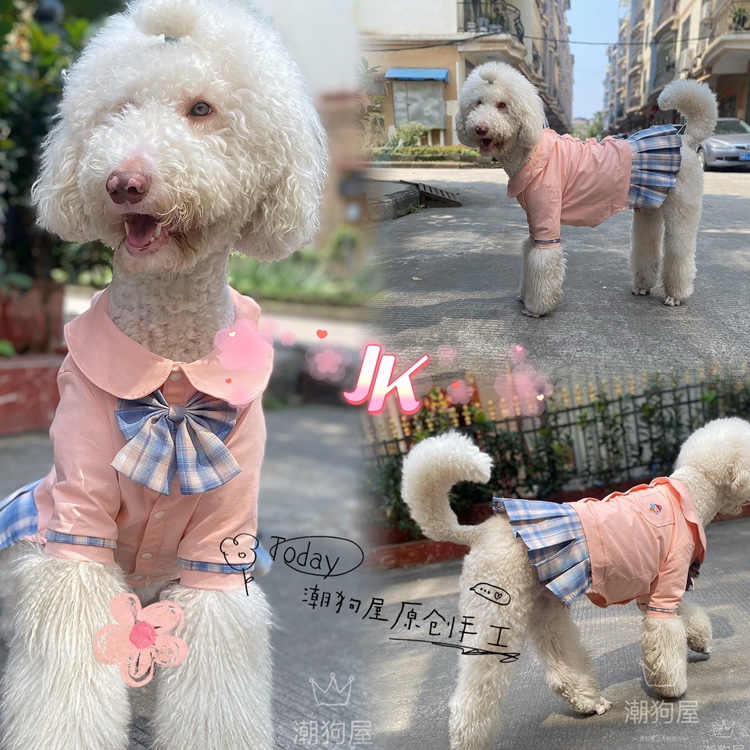 大狗Jk制服套装金毛拉多萨摩耶裙子巨贵春夏装松狮边牧公主裙狗裙