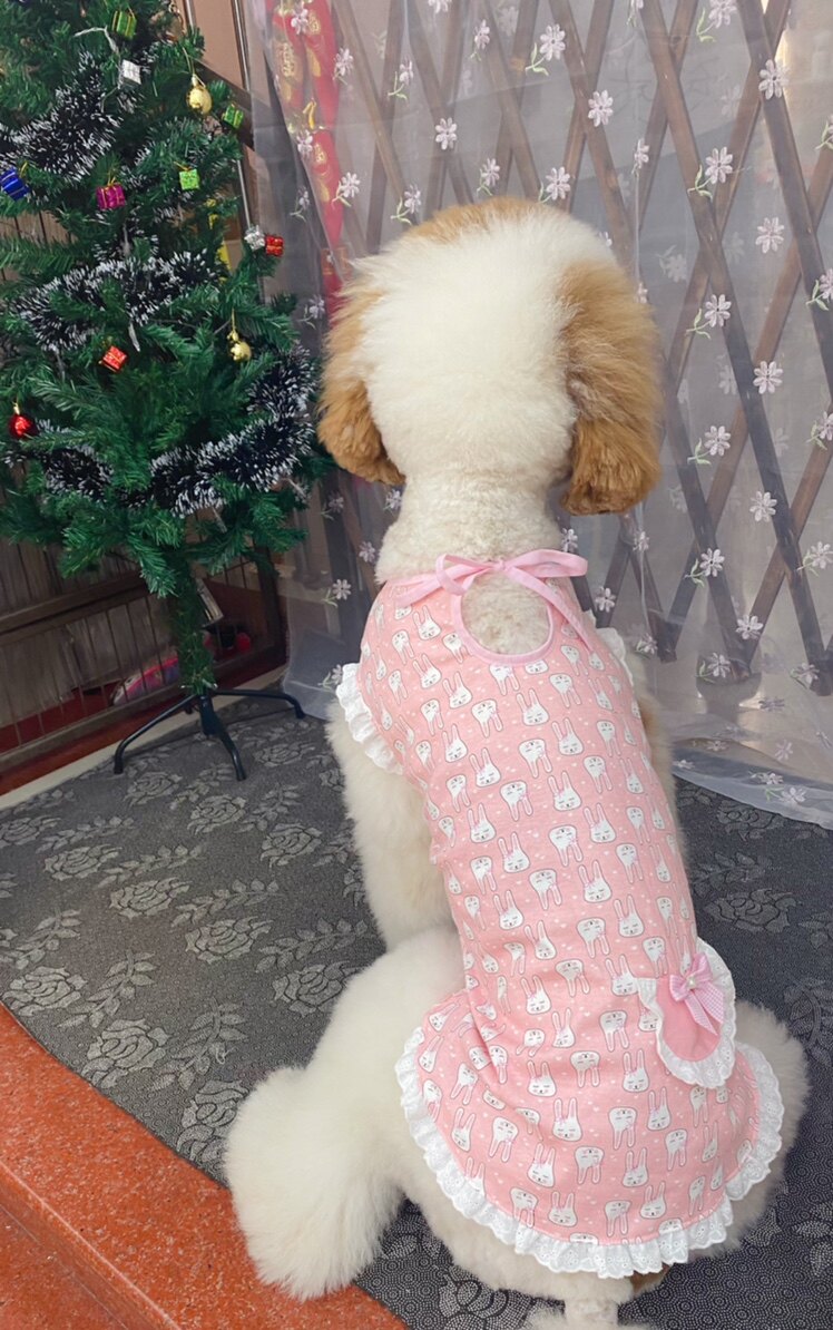 兔兔绑带衣巨贵秋装狗狗无袖衣服松狮休闲服拉多金毛裙子包邮可定