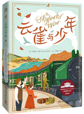 云雀与少年 (英)希拉瑞·麦凯(Hilary McKay) 湖南文艺出版社 【正版图书书籍】