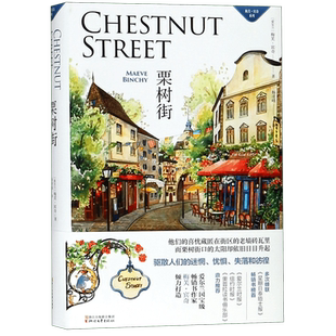 栗树街(精)/梅芙·宾奇系列