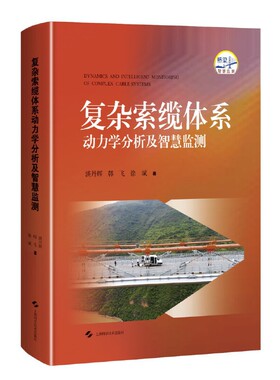复杂索缆体系动力学分析及智慧监测 淡丹辉 韩飞 徐斌 著 上海科学技术出版社 【正版图书书籍】