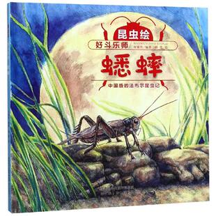 好斗乐师:蟋蟀(精装)/昆虫绘 付赛男 陕西未来出版社有限责任公司 【正版图书书籍】