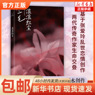 正版 三毛南海出版 图书书籍 2024版 公司 滚滚红尘