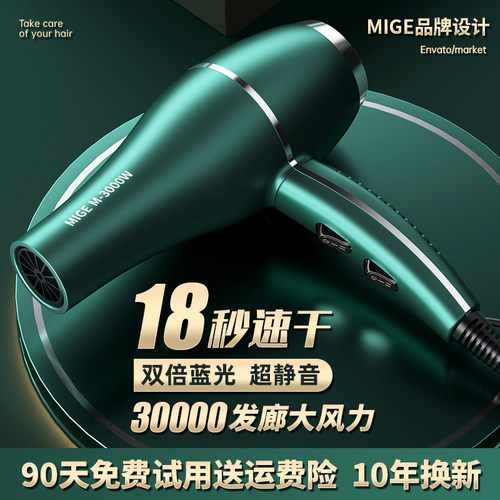 德系3000W冷热风家用速干大功率