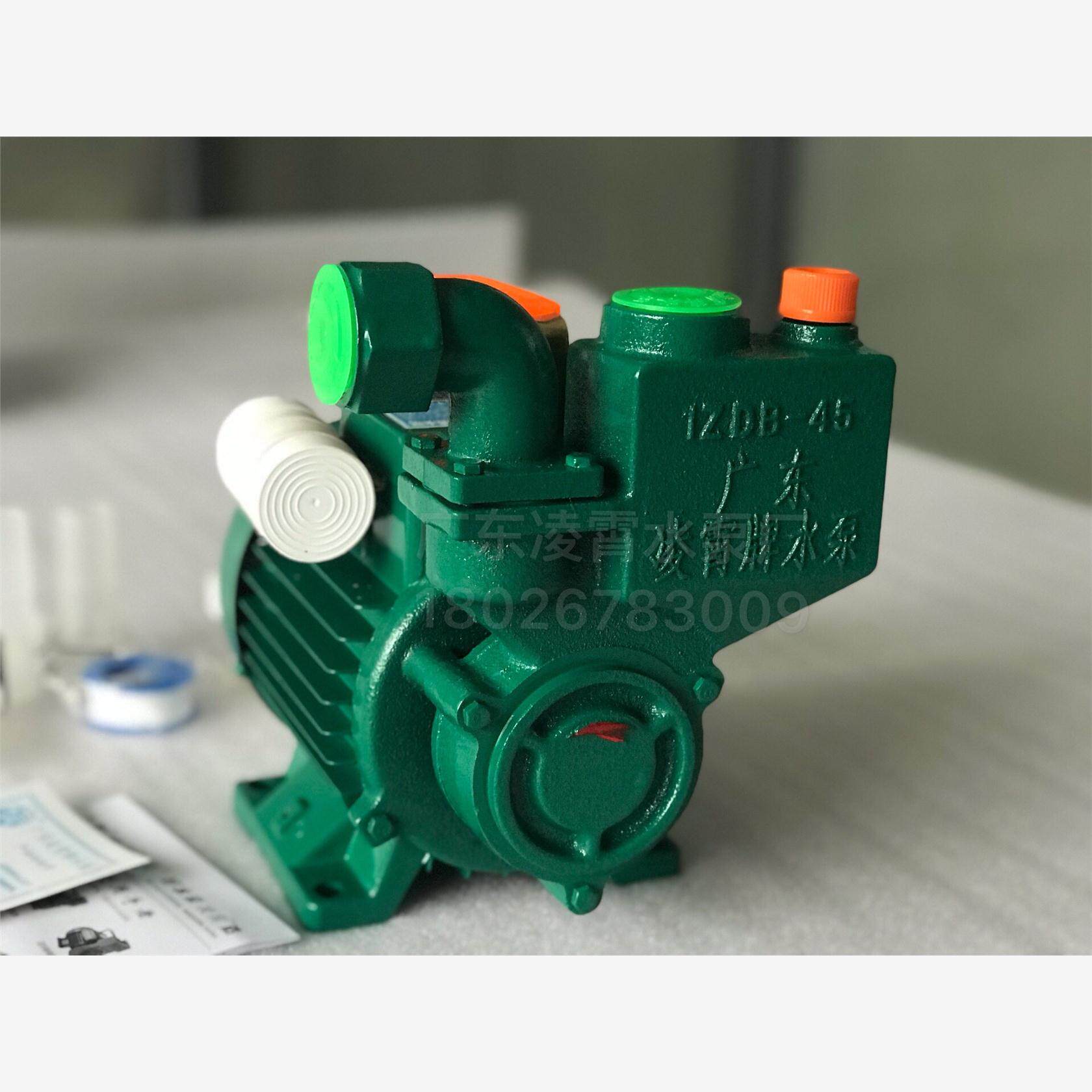 新款广东水泵 清水IZDB-45自吸自来水笔家用增压泵单相铸铁包邮
