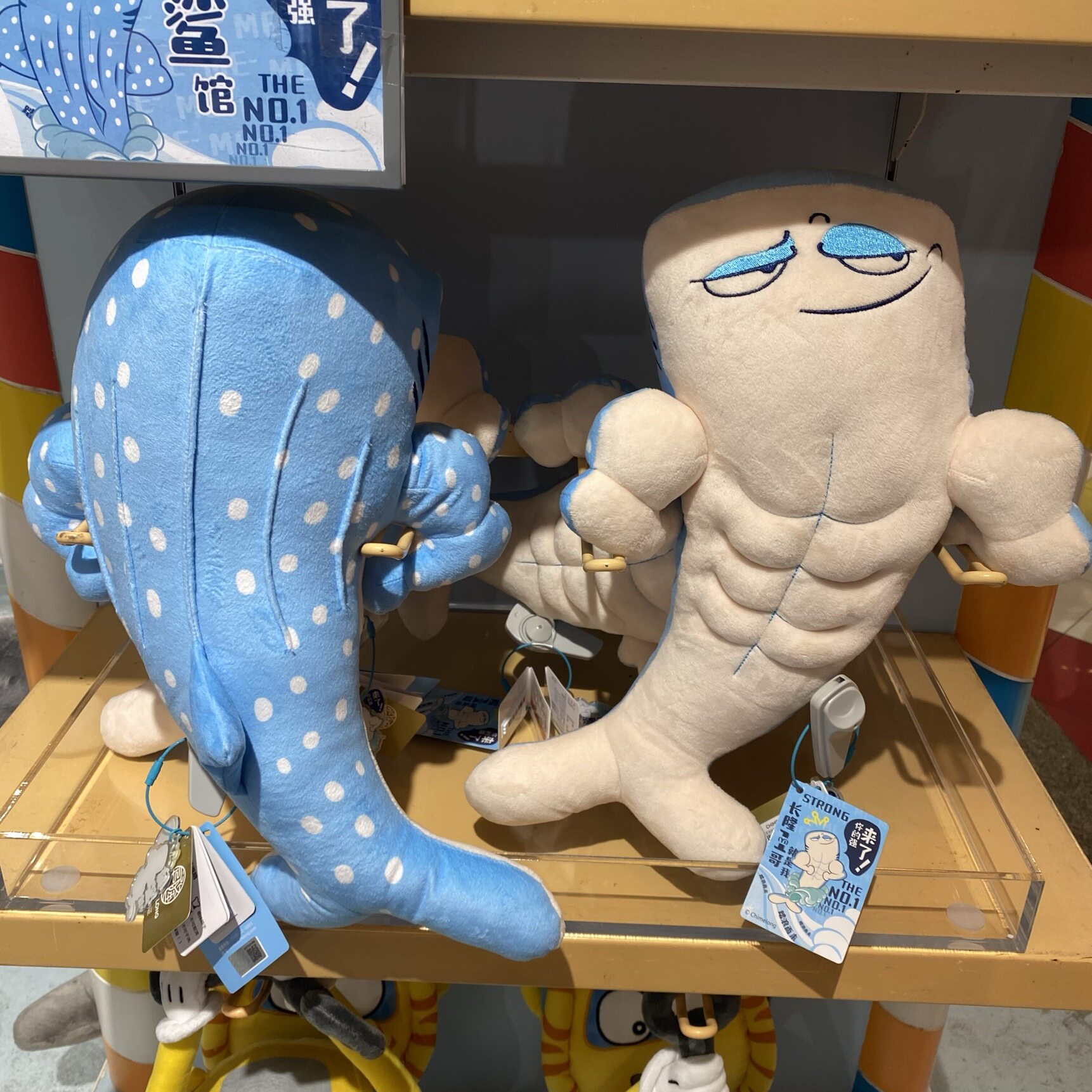 珠海广州长隆旅游纪念品明星鲸鲨毛绒公仔挂饰儿童玩具玩偶礼物
