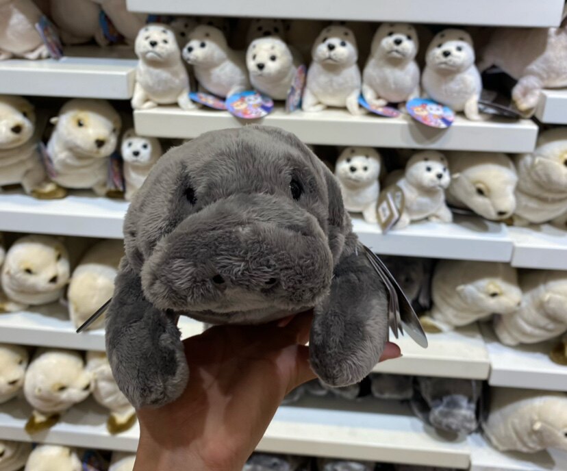 珠海长隆海洋王国旅游纪念品可爱仿真海象毛公仔毛绒玩具布娃娃