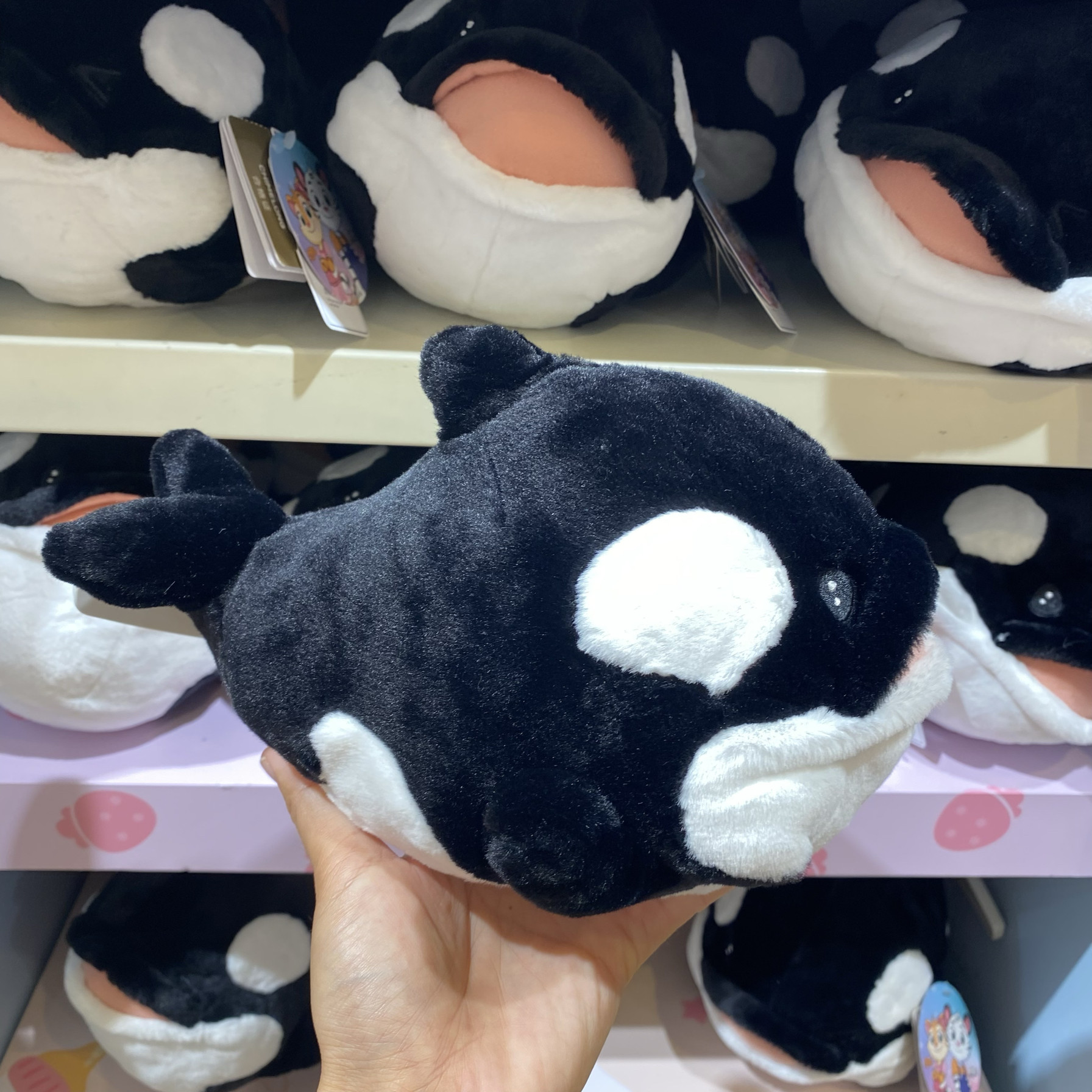 长隆旅游纪念品海洋王国可爱仿真虎鲸毛绒公仔儿童玩具手信礼物