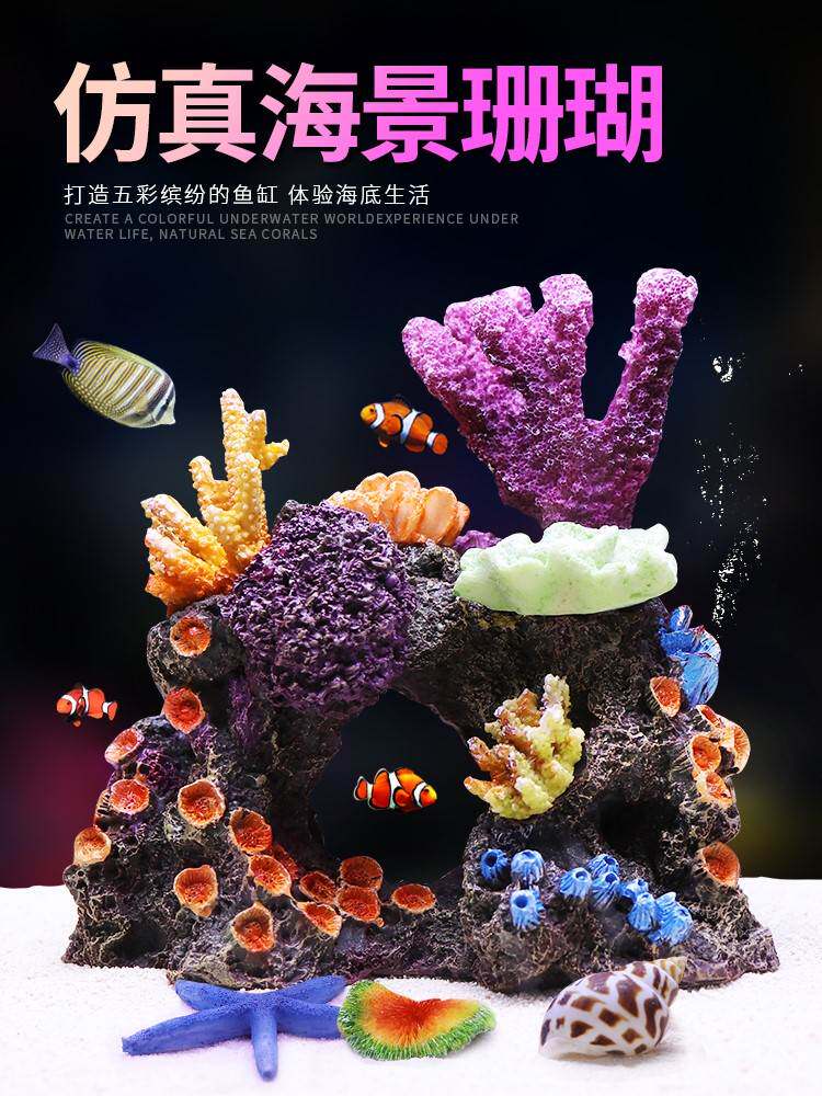 超大珊瑚骨造景海缸海底真珊瑚摆件天然海珊瑚石化石礁石大块