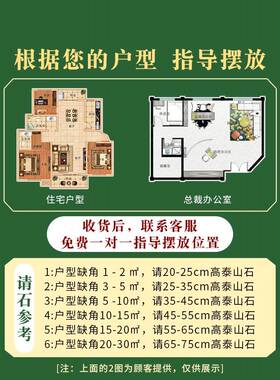 泰山石敢当镇宅室内石头天然原石办公室靠山石正宗泰山石阳石摆件
