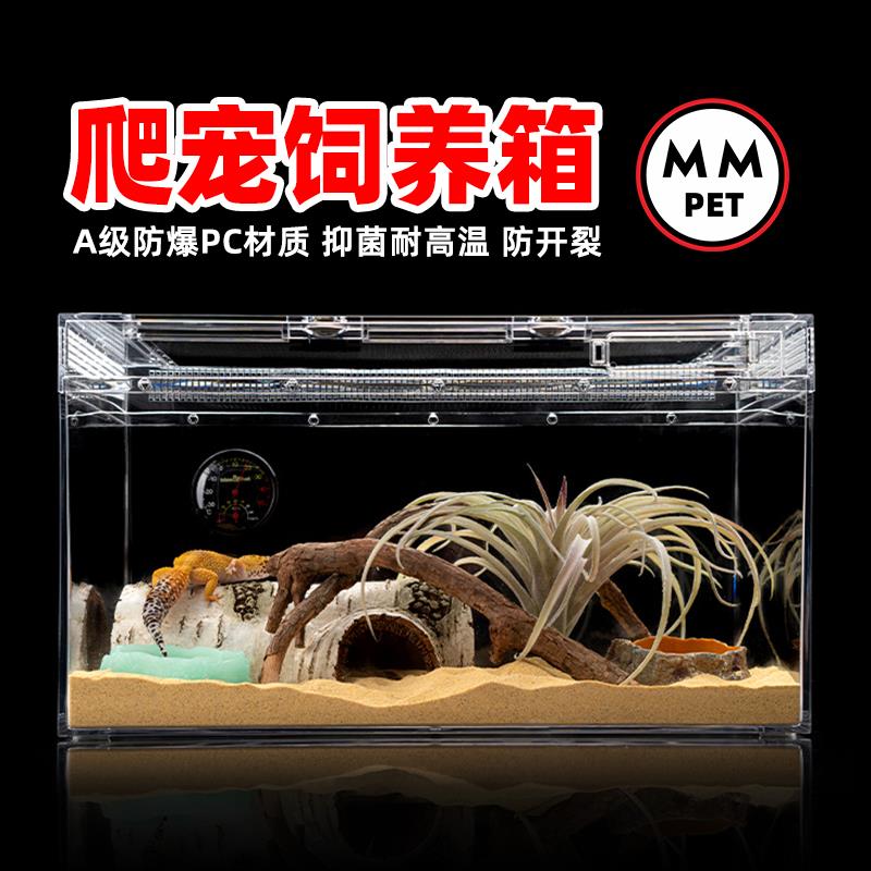爬宠饲养箱a6养殖盒大号小号活物鬃狮蜥蜴睫角守宫角蛙宠物蛇龟缸