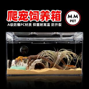 爬宠饲养箱a6养殖盒大号小号活物鬃狮蜥蜴睫角守宫角蛙宠物蛇龟缸