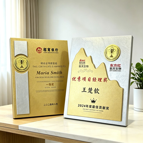 高档金属皮质奖牌定制表彰