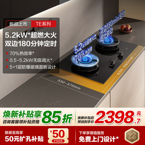 方太TE21双边定时燃气灶