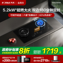 方太燃气灶TE21煤气灶家用双灶台空气舱定时液化天然气官方旗舰店