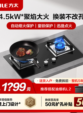 方太02-TH31B燃气灶小尺寸煤气灶双灶家用天然气灶具液化气