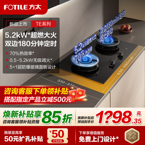 方太TE21双边定时燃气灶