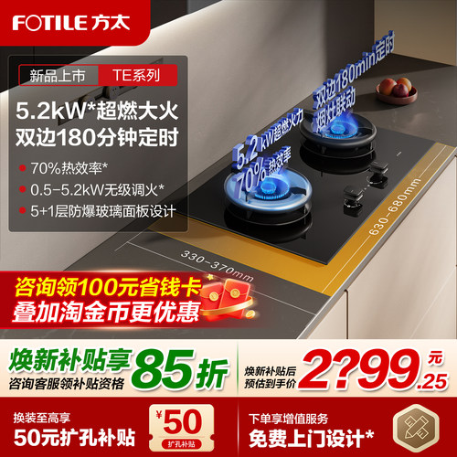 方太TE21双边定时燃气灶