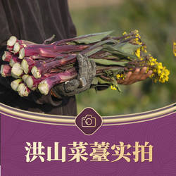 10斤洪山菜苔 礼盒套装 湖北年货特产 现摘新鲜蔬菜