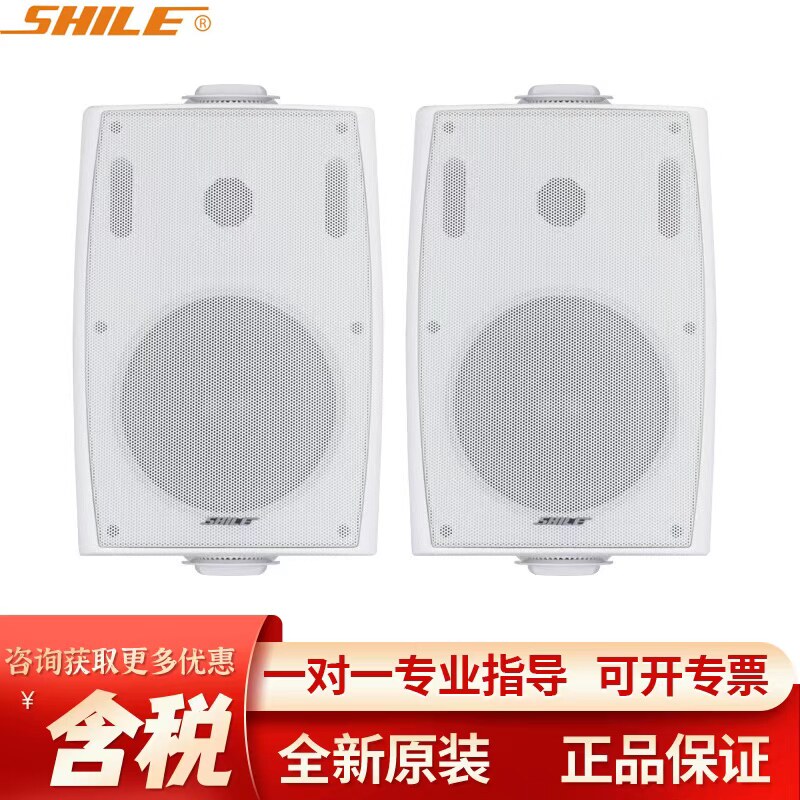 狮乐BX-102会议音箱一对装 壁挂式教学音响 店铺背景音乐音响