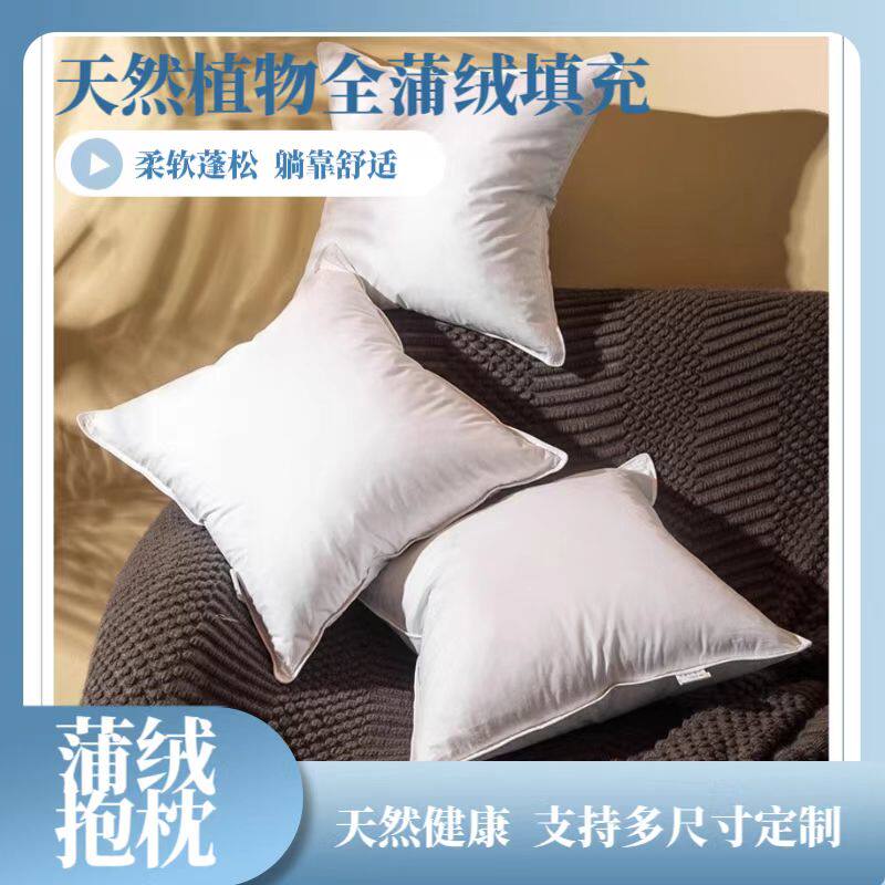 抗菌蒲绒抱枕办公室午睡小枕头沙发靠垫靠枕纯白全棉四方蒲绒枕芯图片
