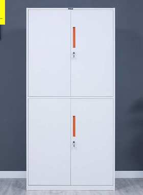 虎一办公家具钢制文件柜资料柜子铁皮柜窄薄边拆装红拉手通双节柜