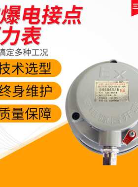 电接点压力表YX-100B 160B防爆电接点压力表防爆压力表厂家
