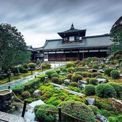 日本旅游服务