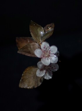 梨花梨花开离别·紫叶李•古风发簪•树脂•簪子