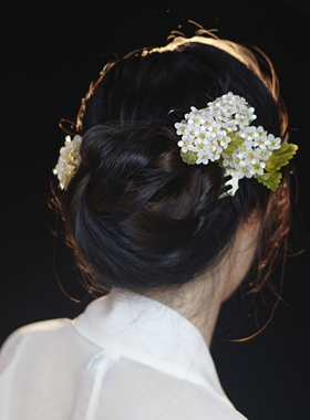 【梨花梨花开离别】绣线菊 小手球