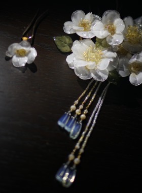 梨花梨花开离别·荼蘼•古风发簪•树脂•簪子