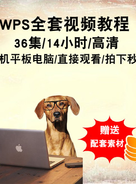 wps视频教程 表格文字演示 word/excel/ppt office2016 在线课程