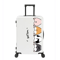 Белый кошачий мяч