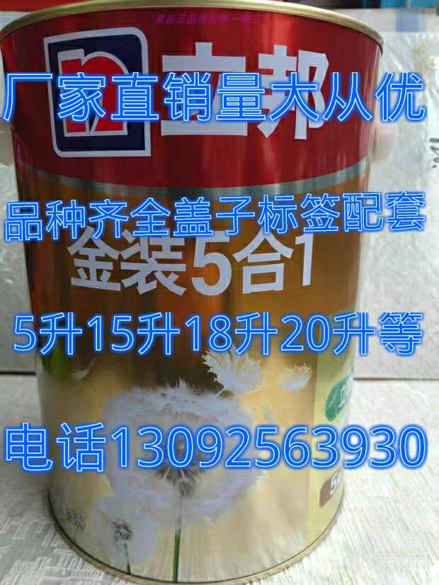 立邦5l小桶金装五合一图片