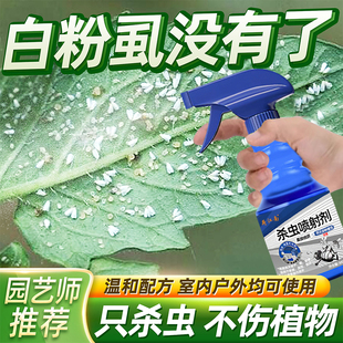 白粉虱杀虫剂家用祛除室内外专用药治粉虱花药专杀喷雾灭专净杀除