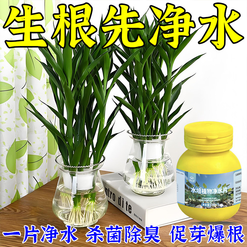 水培植物净水片鲜花保鲜剂不臭水碗莲专用花卉通用净化水质消毒片,鲜花速递/花卉仿真/绿植园艺,家庭园艺肥料,淘宝优惠券,粉丝福利购,淘宝优惠卷
