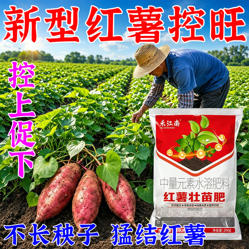 禾江南红薯专用控旺膨大增产素