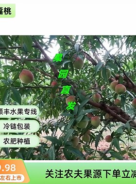 《顺丰》资兴东江湖脱骨鹰嘴桃热卖农村自然成熟当季脆甜孕妇鲜果