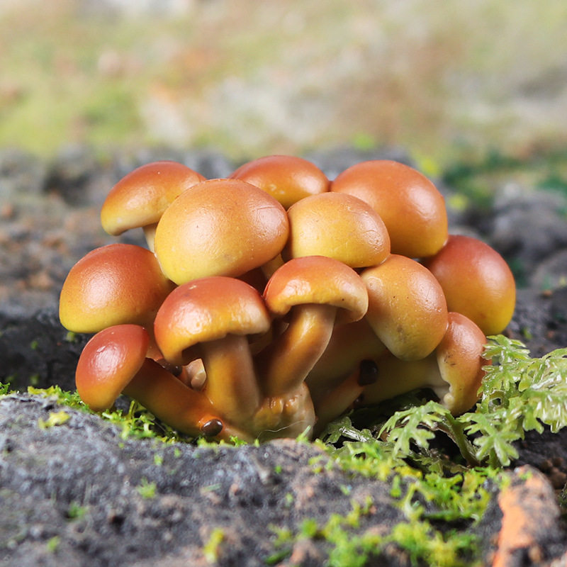 儿童过家家仿真食品模型滑子菇幼儿园食物摆件展示品创意玩具拍摄