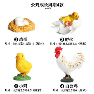 儿童蒙氏仿真动物实心成长周期