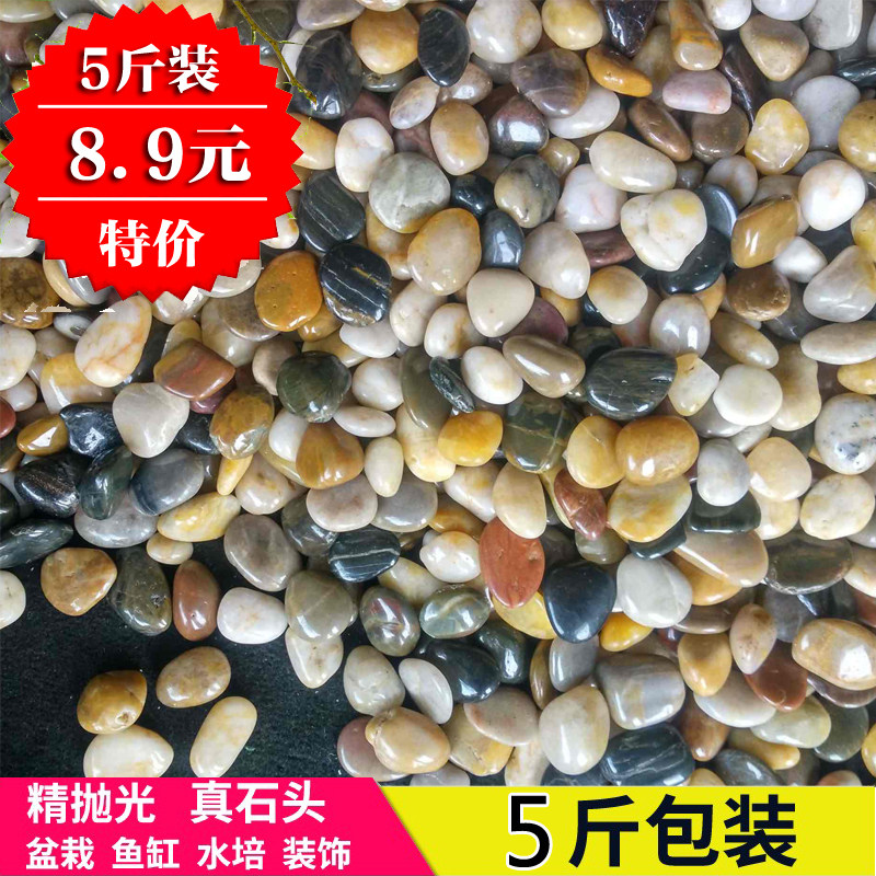 鹅卵石雨花石天然小石子鱼缸花盆多肉装饰盆栽园艺彩石头 5斤装在类目 鲜花速递/花卉仿真/绿植园艺, 园艺用品, 其它园艺用品中 - 来自Buy2taobao.com提供专业的淘宝代购服务